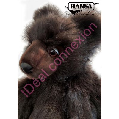 ours-grizzly2_gf