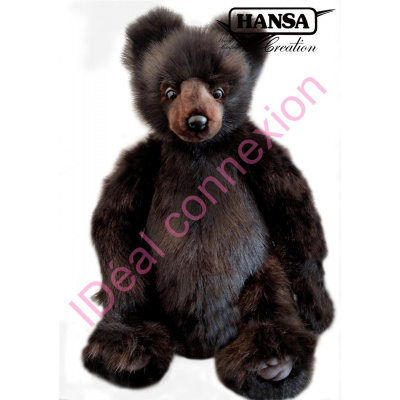 ours-grizzlynoir1_gf