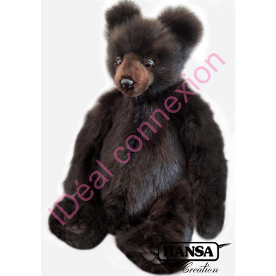 ours-grizzlynoir_gf